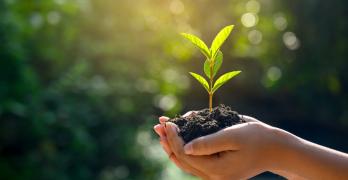 Transport-logistics-green-trucks